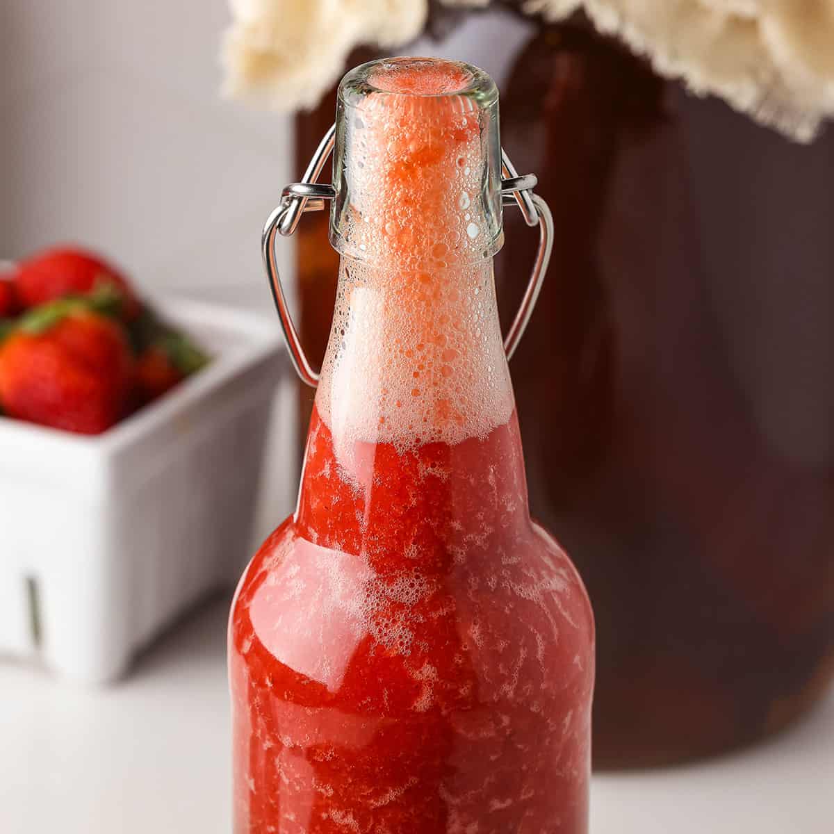 Kombucha