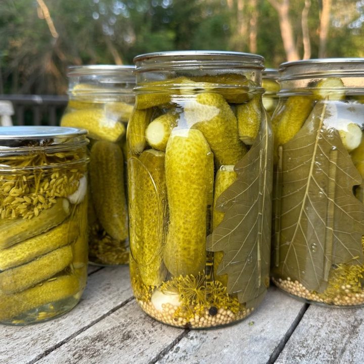 Pickles