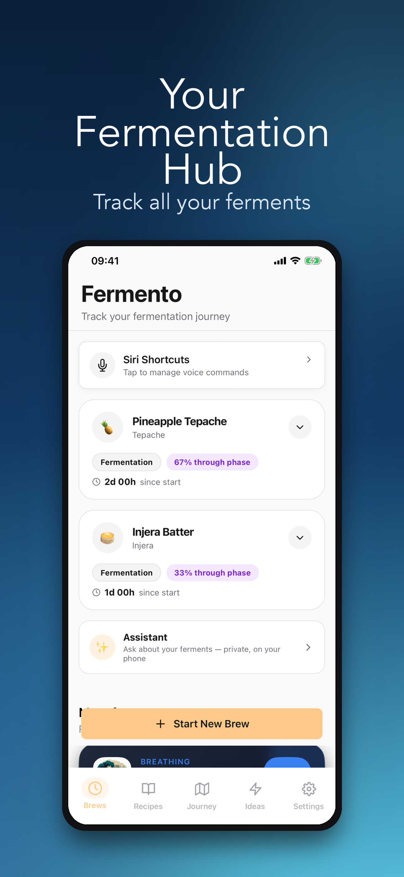 Dashboard Mockup
