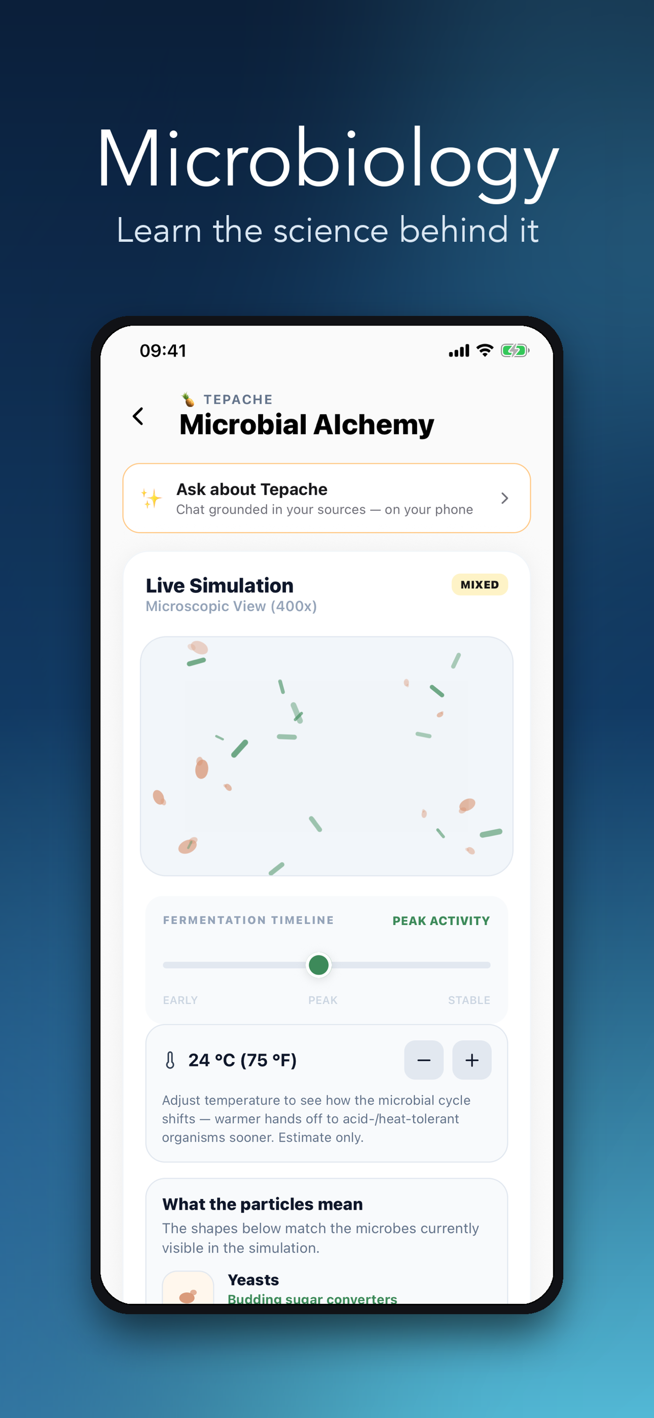 Science Mockup