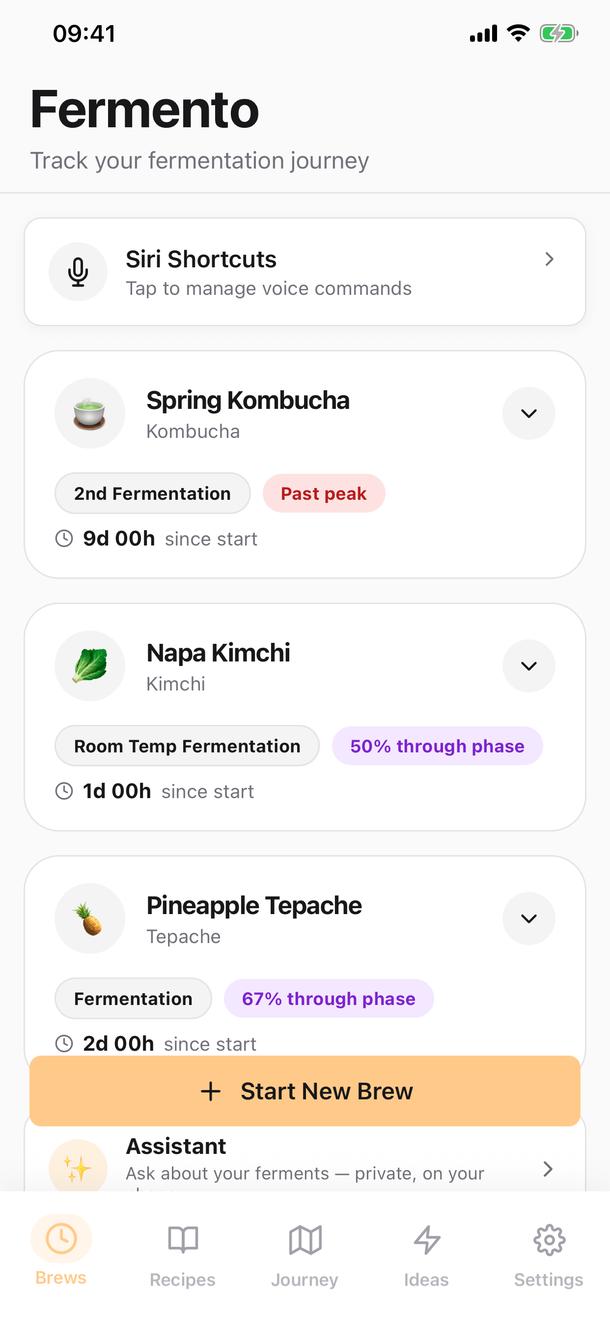 Fermento Dashboard