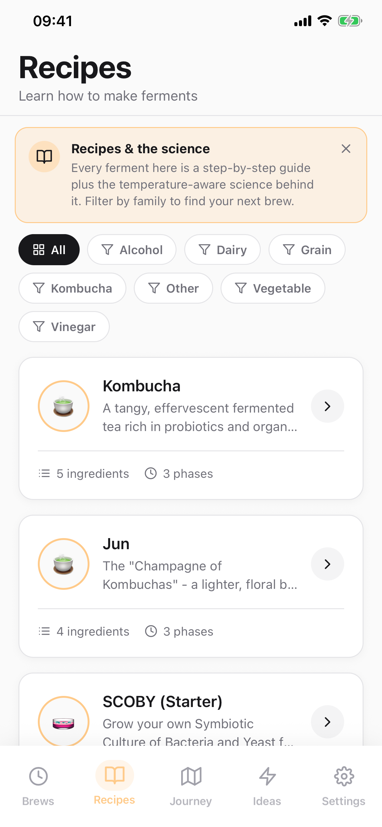 Fermento Recipes